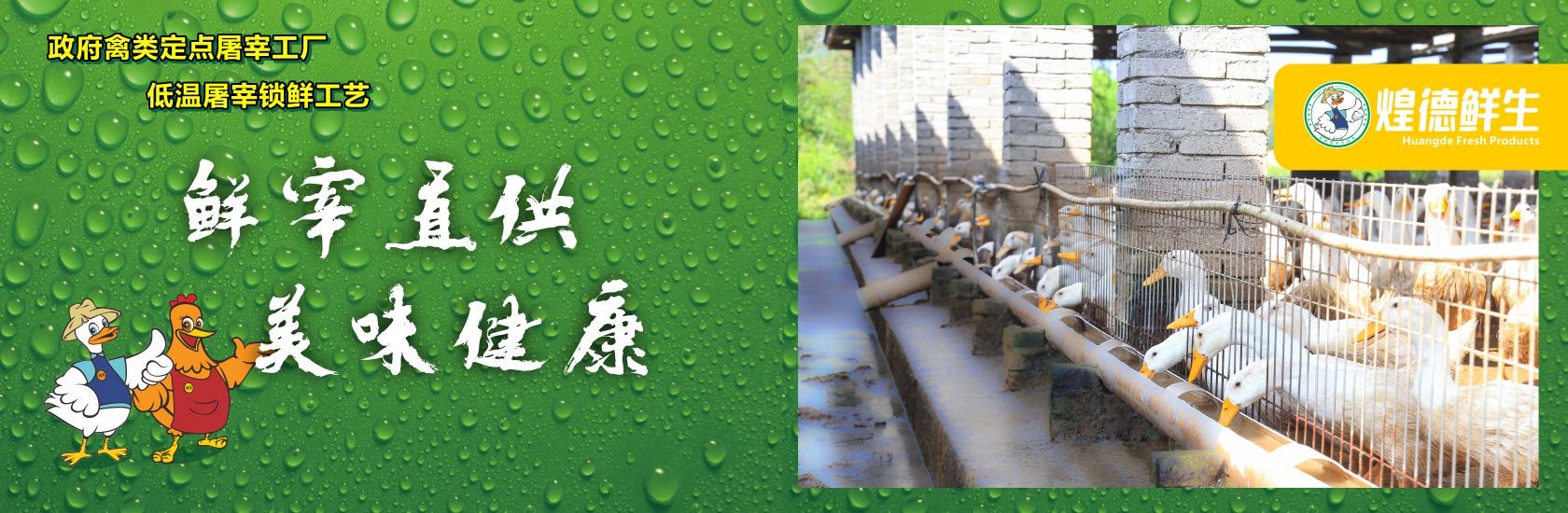 谈球吧买球